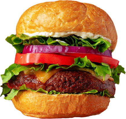 Hamburger with Patties, Tomato, Lettuce and Cheese